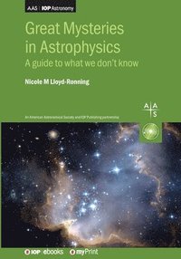 bokomslag Great Mysteries in Astrophysics