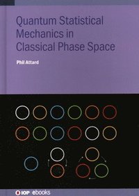 bokomslag Quantum Statistical Mechanics in Classical Phase Space
