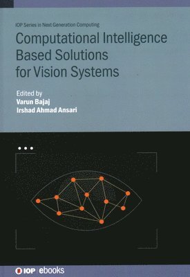 Computational Intelligence Based Solutions for Vision Systems 1