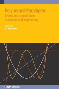 bokomslag Polynomial Paradigms