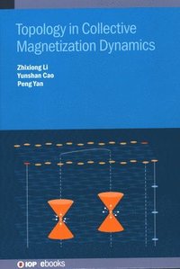 bokomslag Topology in Collective Magnetization  Dynamics