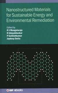 bokomslag Nanostructured Materials for Sustainable Energy and Environmental Remediation