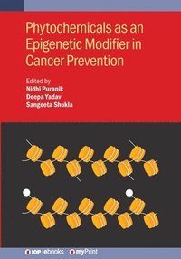 bokomslag Phytochemicals as an Epigenetic Modifier in Cancer Prevention