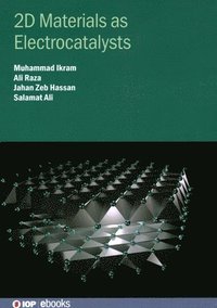 bokomslag 2D Materials as Electrocatalysts