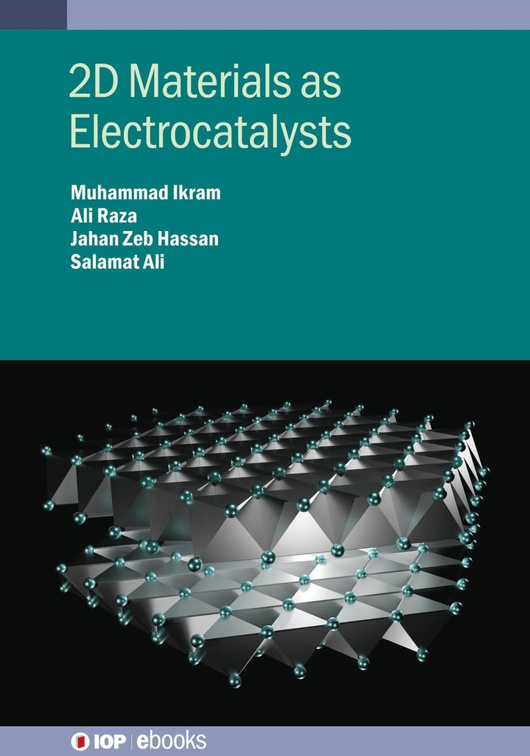 Ali Raza, Jahan Zeb Hassan, Muhammad Ikram, Salamat Ali, Muhammad (Government College University Lahore (Pakistan)) Ikram - 2D Materials as Electrocatalysts, Inbunden