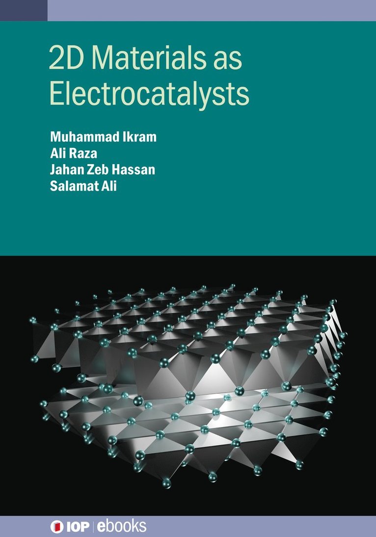 2D Materials as Electrocatalysts 1