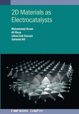 bokomslag 2D Materials as Electrocatalysts