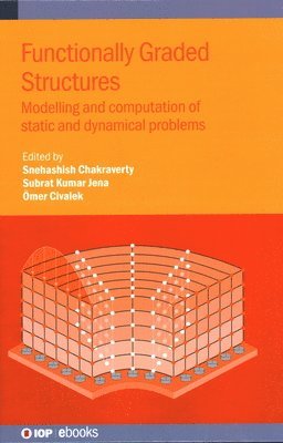 bokomslag Functionally Graded Structures