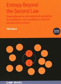 bokomslag Entropy Beyond the Second Law (Second Edition)