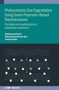 bokomslag Photocatalytic Dye Degradation Using Green Polymeric-Based Nanostructures