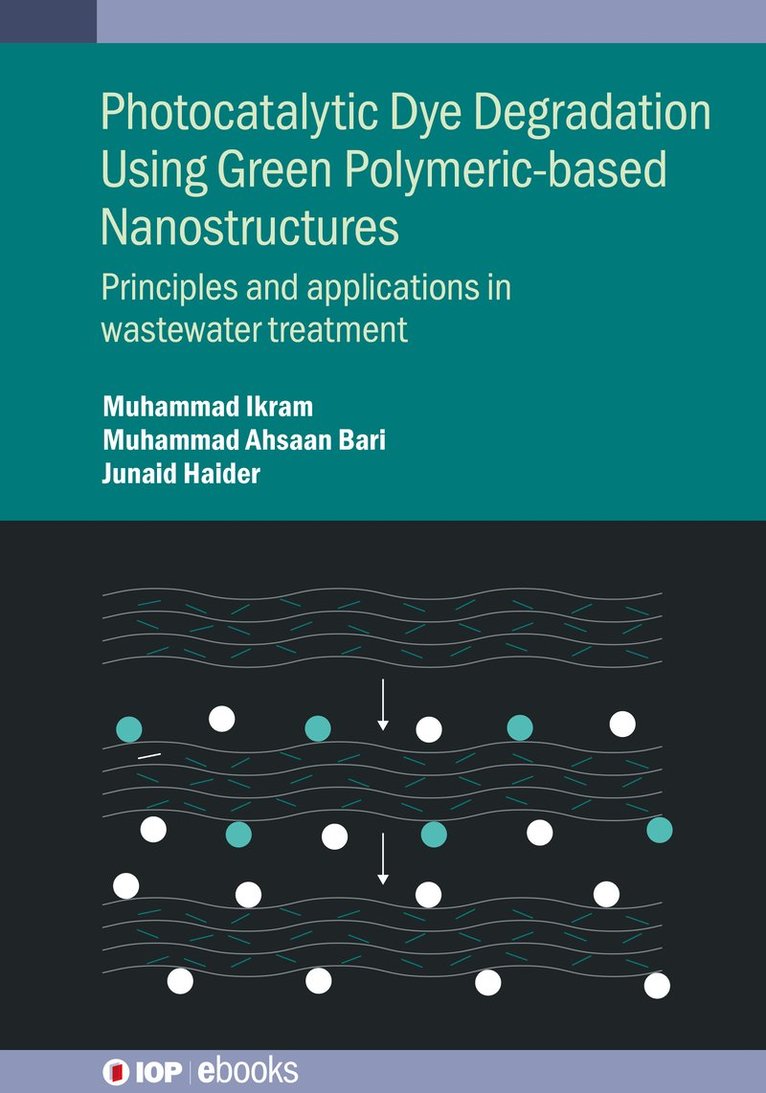 Muhammad Ikram, Muhammad Ahsaan Bari, Junaid Haider - Photocatalytic Dye Degradation Using Green Polymeric-Based Nanostructures, Inbunden