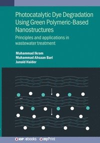 bokomslag Photocatalytic Dye Degradation Using Green Polymeric-Based Nanostructures