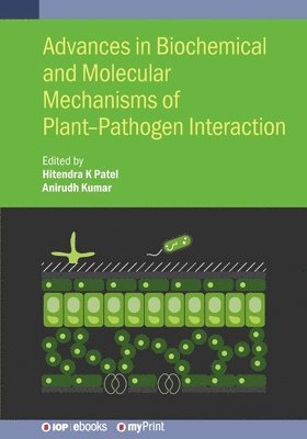 Hitendra K Patel, Anirudh Kumar, Hitendra K. Patel, Hitendra K. Patel, Anirudh Kumar - Advances in Biochemical and Molecular Mechanisms of Plant-Pathogen Interaction, Häftad