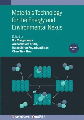 R V Mangalaraja, Arunachalam Arulraj, Nalandhiran Pugazhenthiran - Materials Technology for the Energy and Environmental Nexus, Volume 1, Häftad