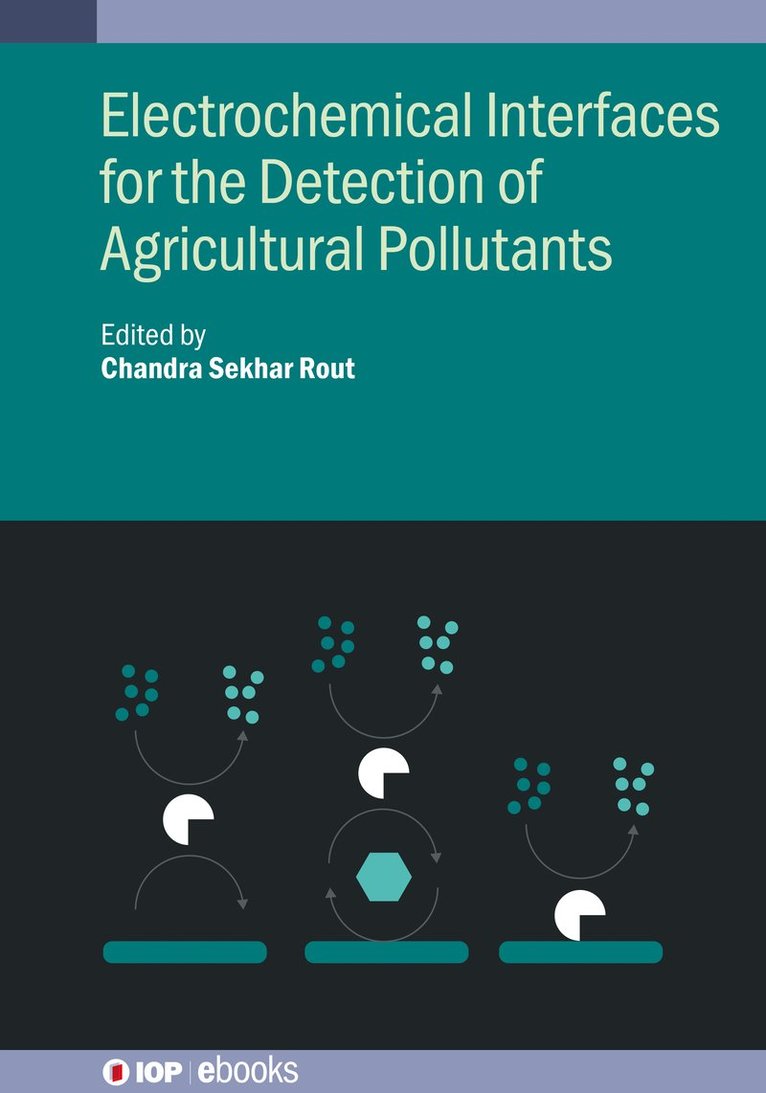 Chandra Sekhar Rout, Chandra Sekhar Rout, Chandra Sekhar (Jain University (India)) Rout - Electrochemical Interfaces for the Detection of Agricultural Pollutants, Inbunden