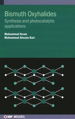 bokomslag Bismuth Oxyhalides