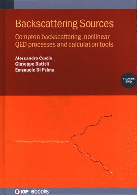 bokomslag Backscattering Sources, Volume 2