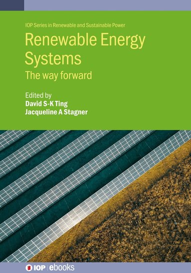 David S-K Ting, Jacqueline A. Stagner, David S-K. Ting, Jacqueline A. Stagner - Renewable Energy Systems, Inbunden