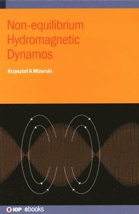 bokomslag Non-equilibrium Hydromagnetic Dynamos