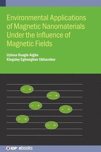 bokomslag Environmental Applications of Magnetic Nanomaterials Under the Influence of Magnetic Fields