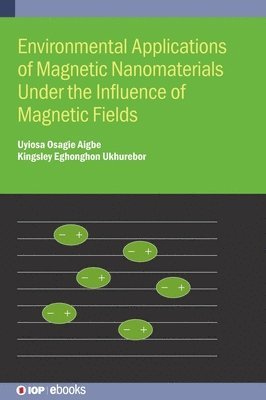 bokomslag Environmental Applications of Magnetic Nanomaterials Under the Influence of Magnetic Fields