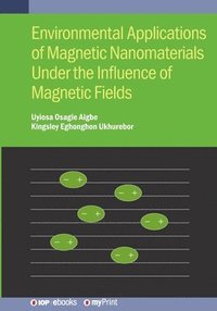 bokomslag Environmental Applications of Magnetic Nanomaterials Under the Influence of Magnetic Fields