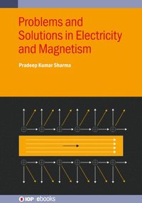 bokomslag Problems and Solutions in Electricity and Magnetism