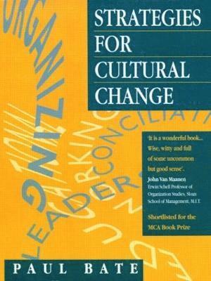 Strategies for Cultural Change 1