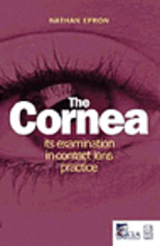 Cornea