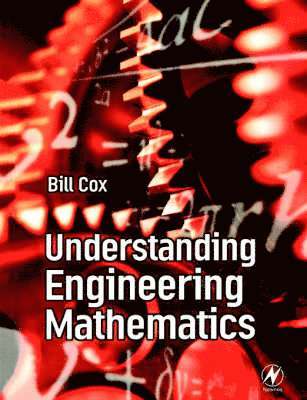 bokomslag Understanding Engineering Mathematics