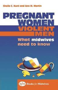 bokomslag Pregnant Women, Violent Men