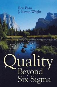 bokomslag Quality Beyond Six Sigma