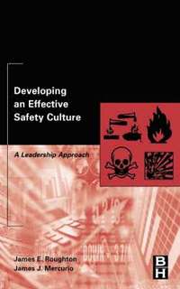 bokomslag Developing an Effective Safety Culture