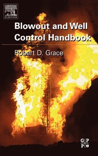 bokomslag Blowout and Well Control Handbook