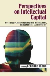 bokomslag Perspectives on Intellectual Capital