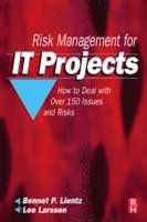 Risk Management for IT Projects 1