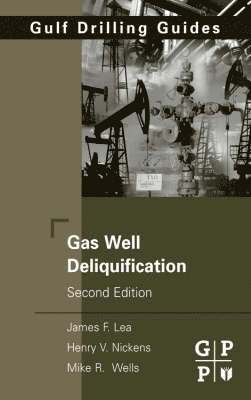 bokomslag Gas Well Deliquification