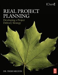 bokomslag Real Project Planning: Developing a Project Delivery Strategy