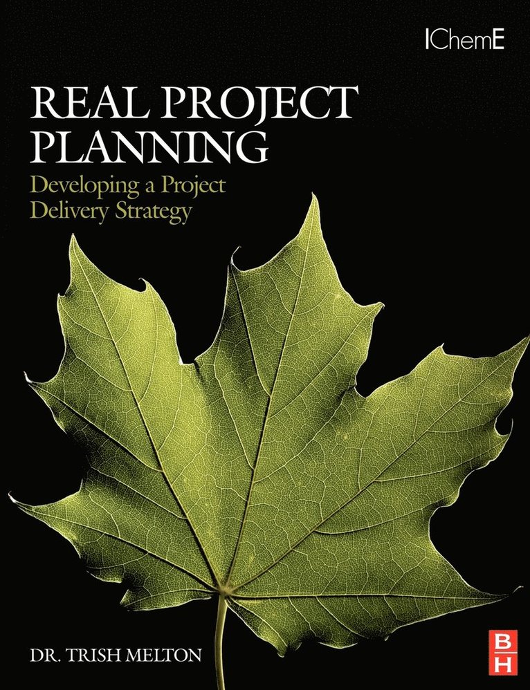 Real Project Planning: Developing a Project Delivery Strategy 1