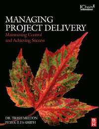 bokomslag Managing Project Delivery: Maintaining Control and Achieving Success
