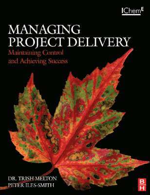 Managing Project Delivery: Maintaining Control and Achieving Success 1