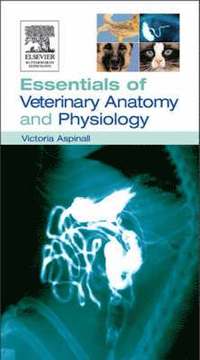 bokomslag Essentials of Veterinary Anatomy & Physiology