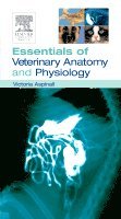 bokomslag Essentials of Veterinary Anatomy & Physiology