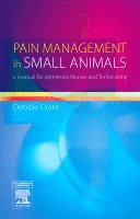 bokomslag Pain Management in Small Animals