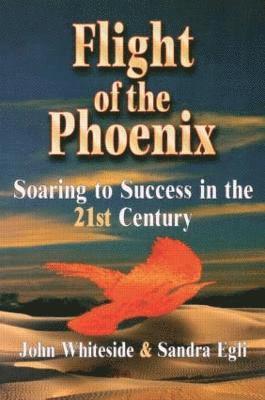 Flight of the Phoenix 1