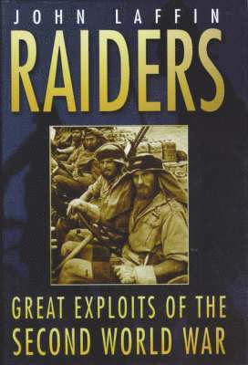 bokomslag Raiders