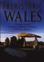 bokomslag Prehistoric Wales