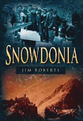 bokomslag Snowdonia