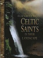 bokomslag Celtic Saints in Their Landscape