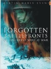 bokomslag Forgotten Battlefronts of the First World War
